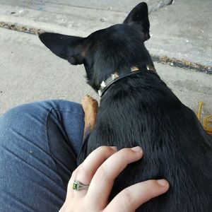 Meet your Posher, Taylor