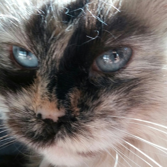 Meet your Posher, Taryn - Picture 1 of 1