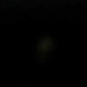 Meet your Posher, Anissa