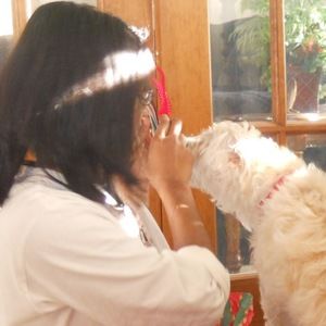 Meet your Posher, Niru