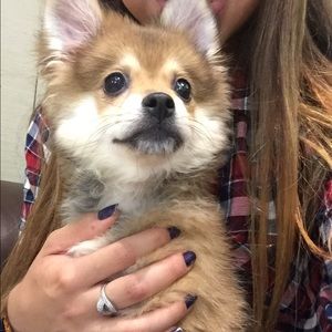 Meet your Posher, Zully