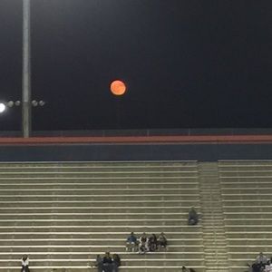 Meet your Posher, Summer