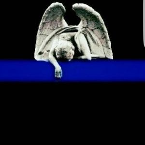 Meet your Posher, John n shannon