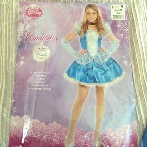 Disney Cinderella Costume