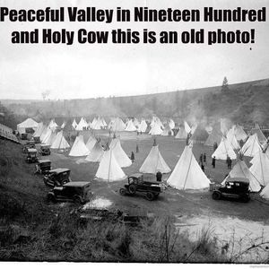 Meet your Posher, Mavis