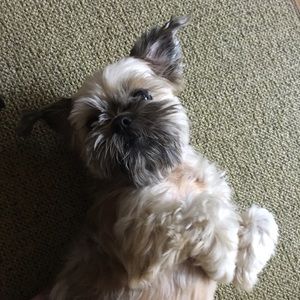 Meet your Posher, Tyler