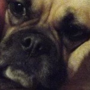 Meet your Posher, Kristen