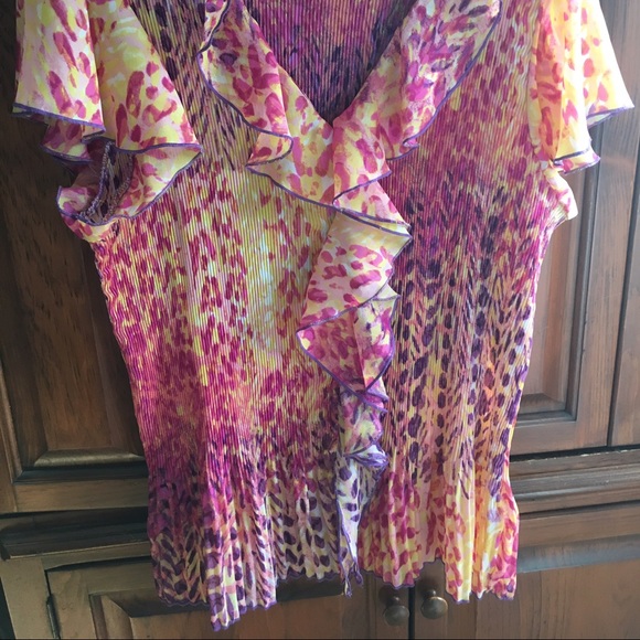 Beautiful Ruffled Top NWOT - Picture 2 of 4