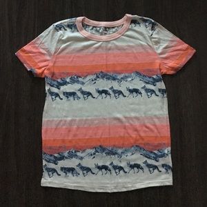 BDG Pink Landscape & Stripes Ringer Tee