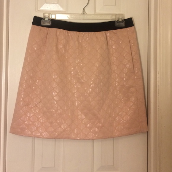 Pink Ann Taylor LOFT skirt , size 14