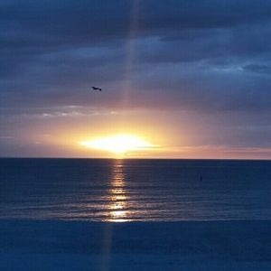 Meet your Posher, Rosemary