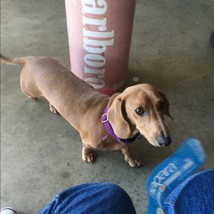 Meet your Posher, Freedom