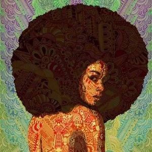 Meet your Posher, Shamona