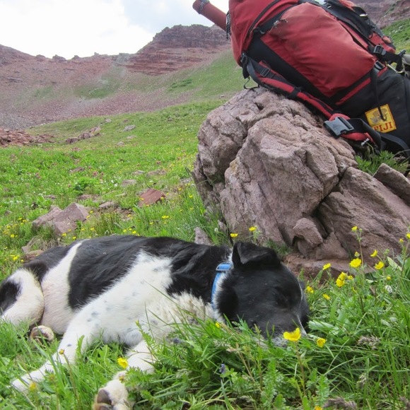 Meet your Posher, Betsey