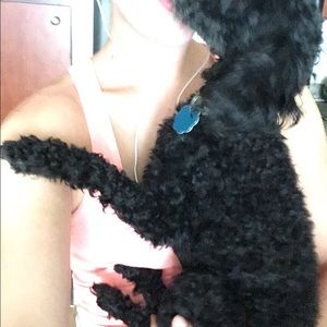 Meet your Posher, Molly