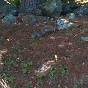 Meet your Posher, Heidi