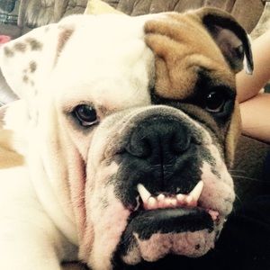 Meet your Posher, Linda