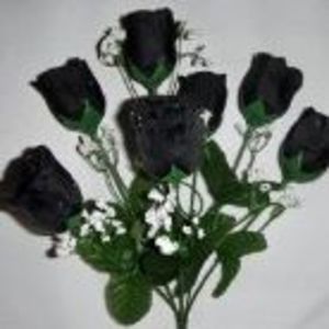 Meet your Posher, Susie