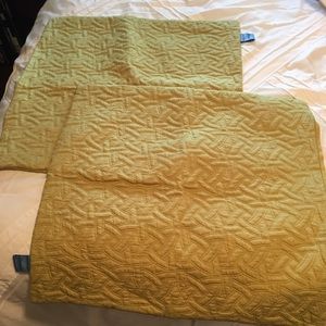 VERA WANG GREEN SQUARE PILLOW CASES