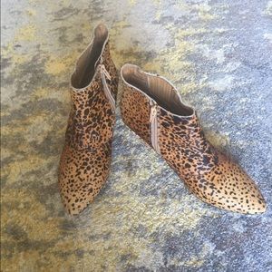 Matisse Nugent Ankle Bootie in Leopard