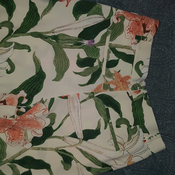 Ann Taylor cropped retro pants 8P - Picture 3 of 3