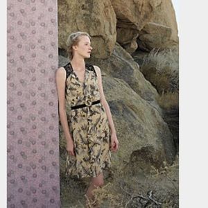 Anthropologie sheer dress with lace detail but Fei