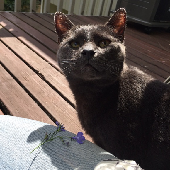 Meet your Posher, Sarah - Picture 2 of 3