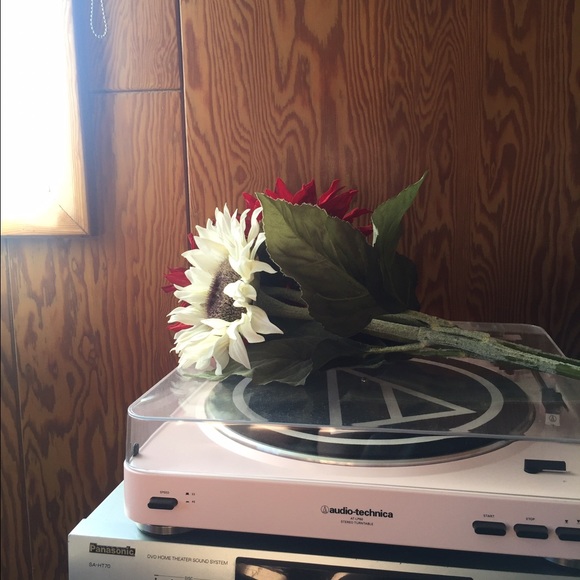 Meet your Posher, Sarah - Picture 3 of 3