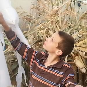 Meet your Posher, Kala