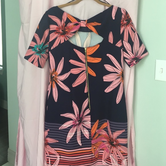 Two dresses - Picture 2 of 4