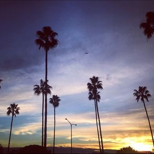 Meet your Posher, Kristin