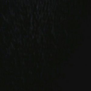 Meet your Posher, Adriana