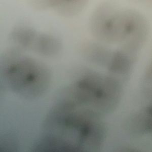 Meet your Posher, Bridgett