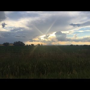 Meet your Posher, Alana