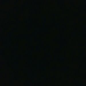 Meet your Posher, Shelby