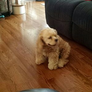 Meet your Posher, Mary