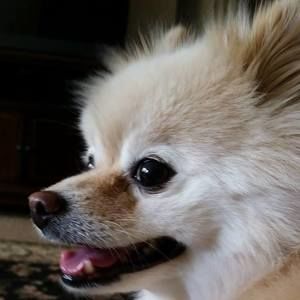 Meet your Posher, Terrie