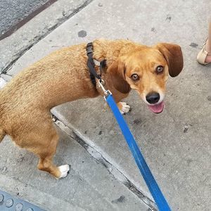 Meet your Posher, Milene