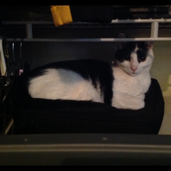 COMMENTS FULL! - Picture 2 of 4