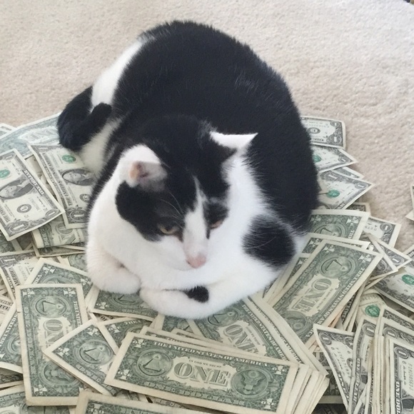 COMMENTS FULL! - Picture 3 of 4