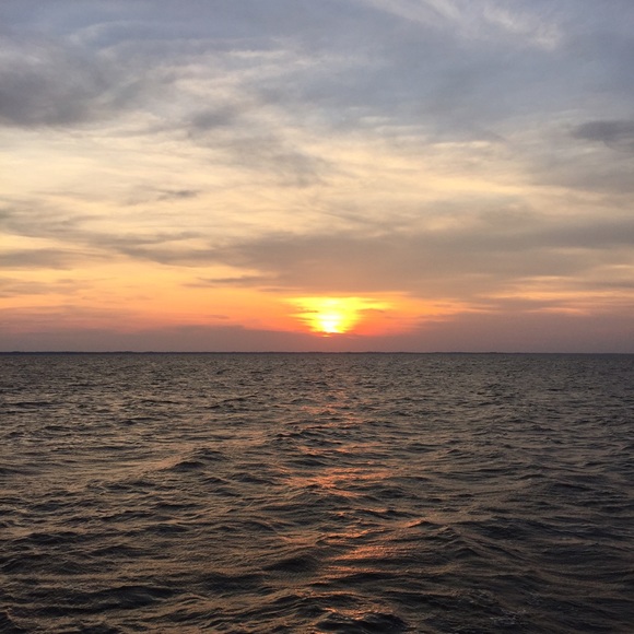 Meet your Posher, Julie - Picture 2 of 2