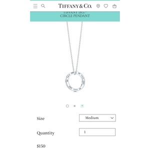 Authentic Tiffany & Co. Circle Pendant