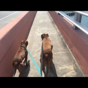 Meet your Posher, Kate