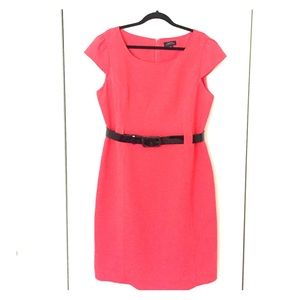 Gorgeous Coral Cap Sleeve Professional Dress!