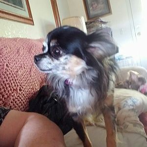 Meet your Posher, Michelle