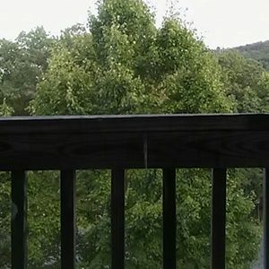 Meet your Posher, Jolanda