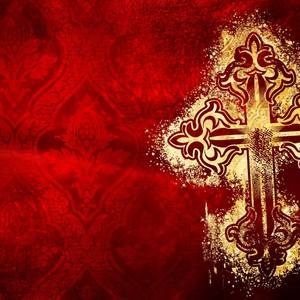 Meet your Posher, Shelly