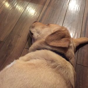 Meet your Posher, Christine