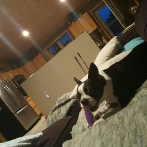 Meet your Posher, Marisa