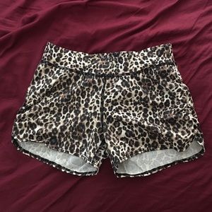 Bebe sports leopard print shorts